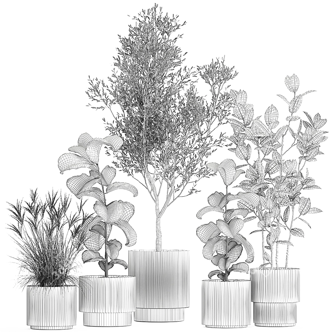 Tropical Plant Collection Set 3D model image 7