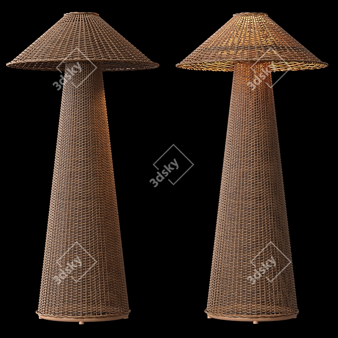 Natural Rattan Iron Floor Lamp 3D model image 2