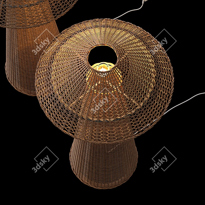 Natural Rattan Iron Floor Lamp 3D model image 3