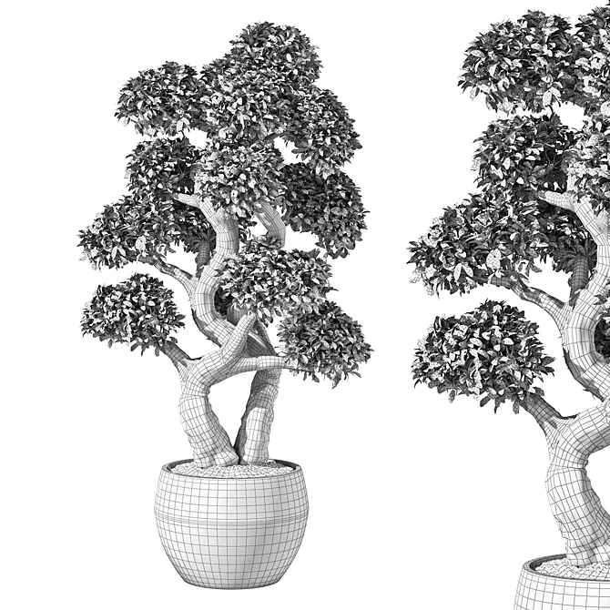 Zen Bonsai Indoor Plant Set 3D model image 4