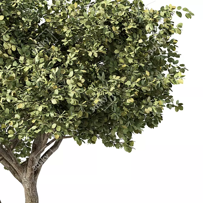 Modern Rustic Tree Sculpture 3D model image 2