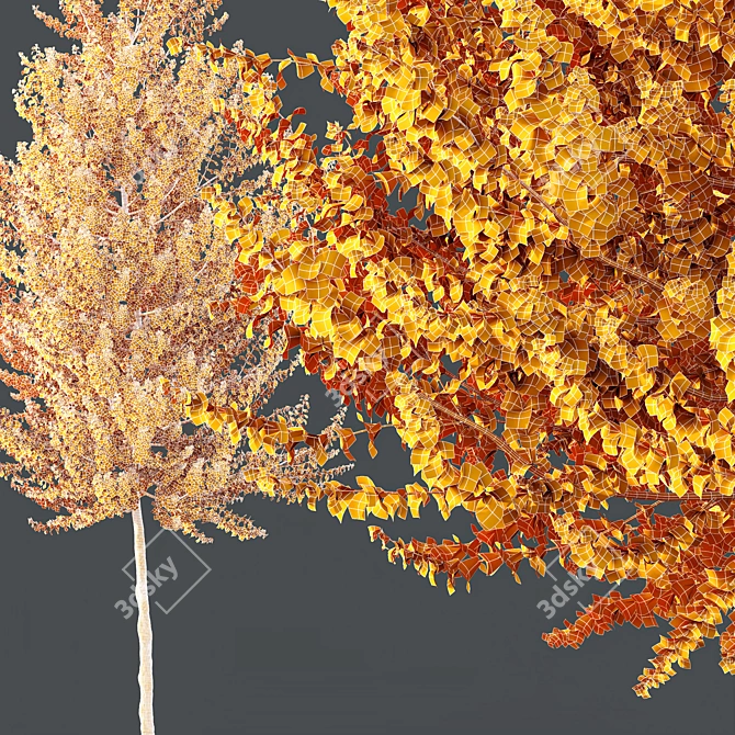 Hybrid Maple Plant 3D Models 3D model image 5