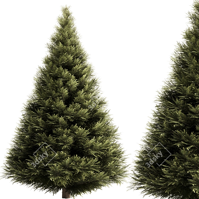 High-Quality Pine Tree Set3 Model 3D model image 1