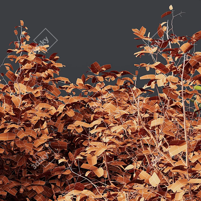 Autumn Plants Collection: 3D Models 3D model image 6