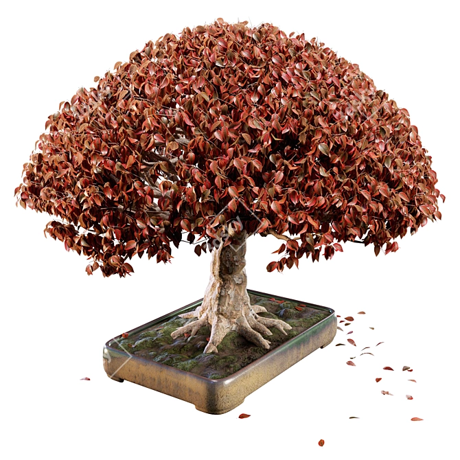 PBR Bonsai Tree 3D Model 3D model image 1