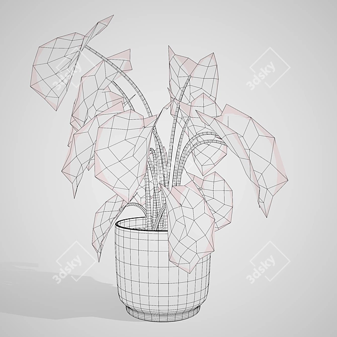 Tropical Trio 3D Potted Plants 3D model image 6