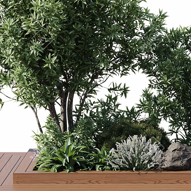 Nature-Inspired Plant Set Elevation 3D model image 4