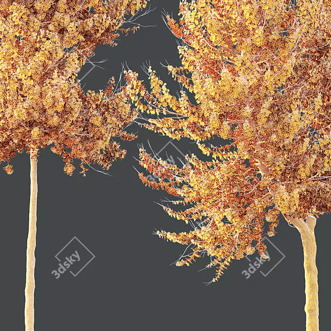 Hybrid Freeman Maple Tree Set 3D model image 5