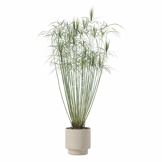 Modern Cyperus Papyrus Plant Pot 3D model image 3