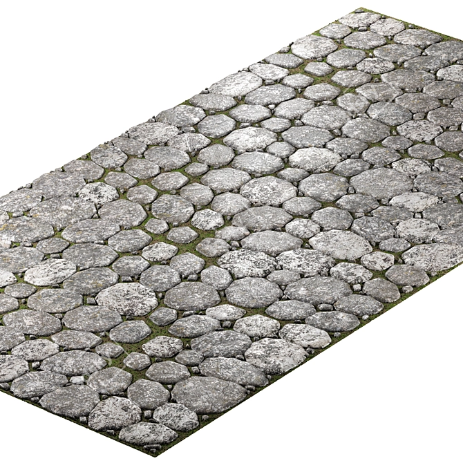 Stone Path 1600x3300 3D model image 1