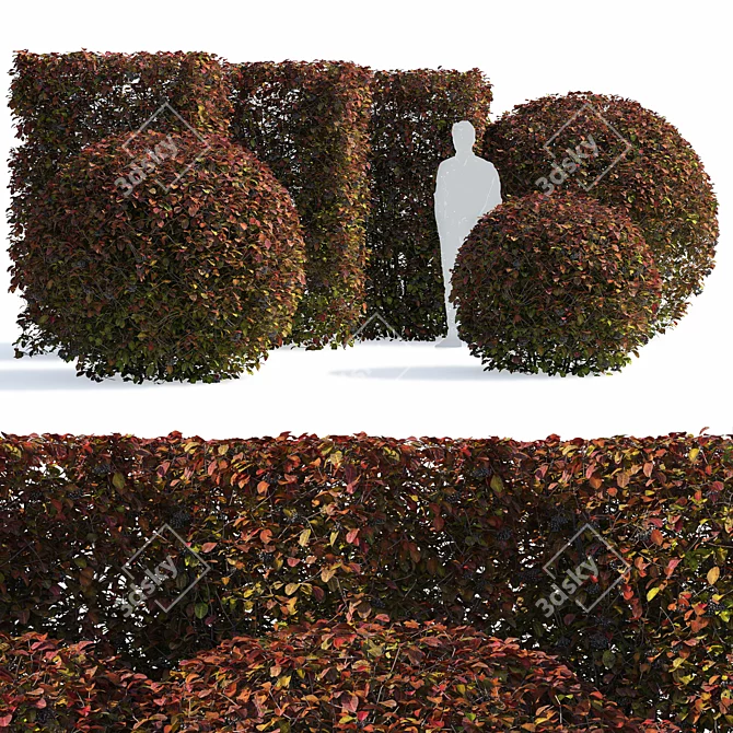 Aronia Melanocarpa Hedge Set 3D model image 1