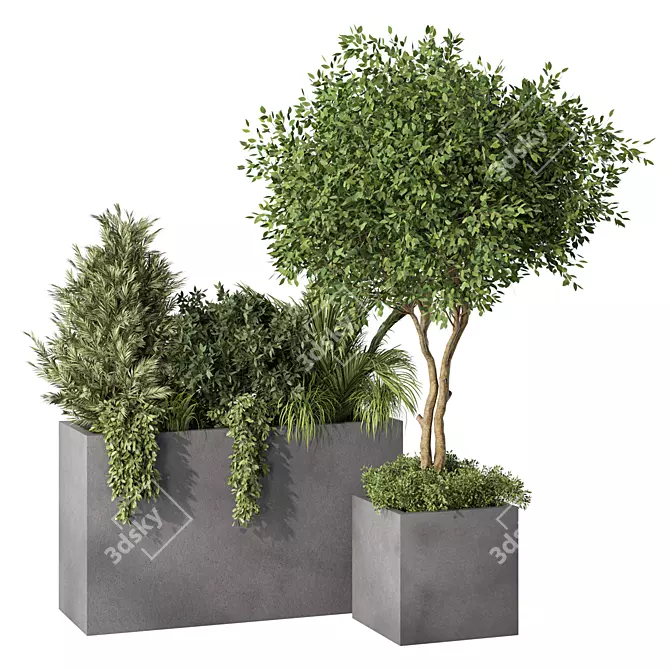Nature-Inspired Plant Set Ensemble 3D model image 1