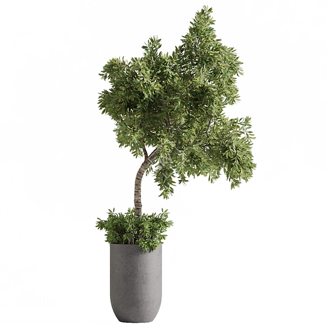  Outdoor Plant Set with Textures 3D model image 3