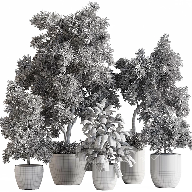  Outdoor Plant Set with Textures 3D model image 7
