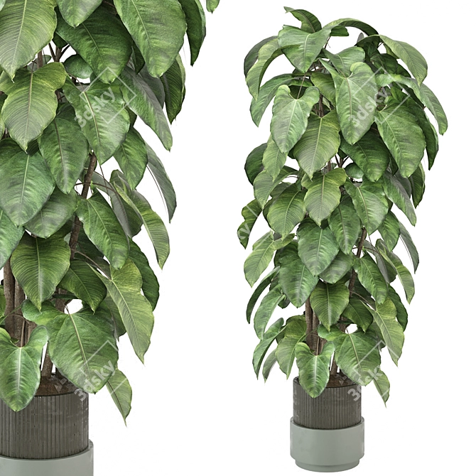  Indoor Plants Collection 1143 3D model image 1
