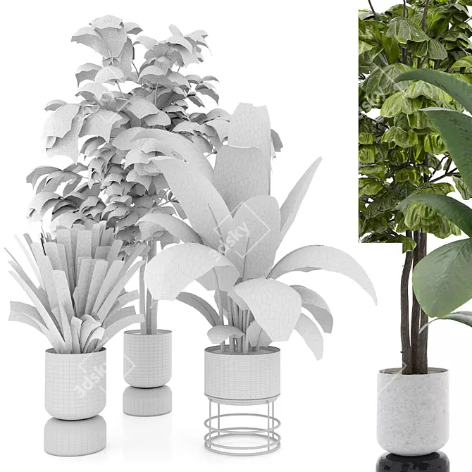 Modern Indoor Plant Set 3 3D model image 3