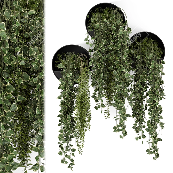 Modern Indoor Hanging Plants Set 3D model image 2
