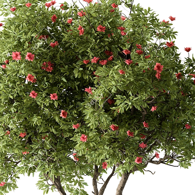 Rhododendron Blossom Tree Collection 287 3D model image 2