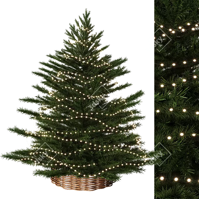 Festive Fir 3D Model 3D model image 1