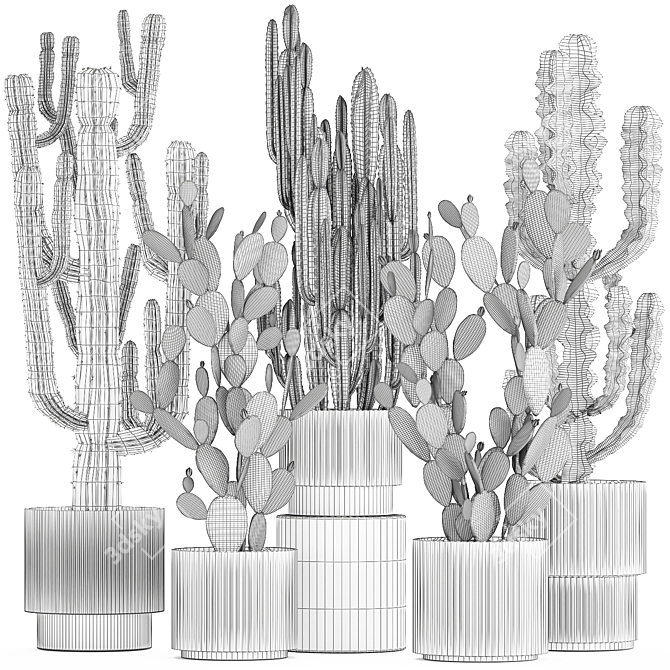 Desert Cactus Collection 1468 3D model image 7