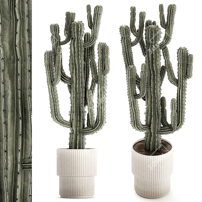 Modern Saguaro Cactus Set 3D model image 1
