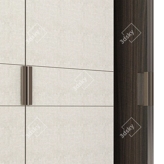 Modern Pivot Door & Wardrobe 3D model image 3