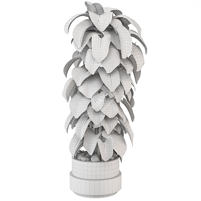 Indoor Plants Set 1148 3D 3D model image 5
