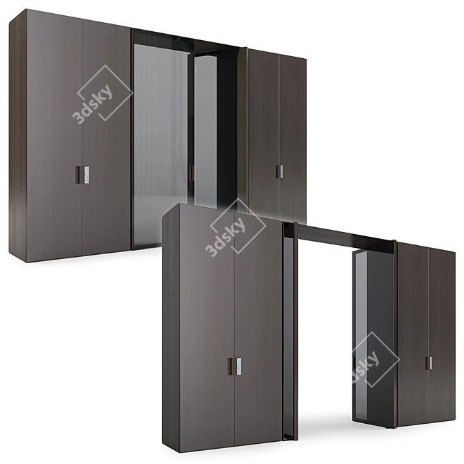 Modern Pivot Door Wardrobe System 3D model image 5