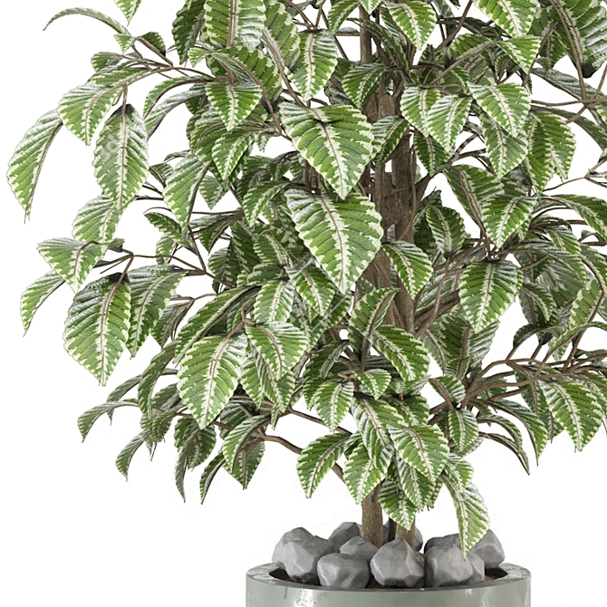  Modern Indoor Plants Set 3D model image 3