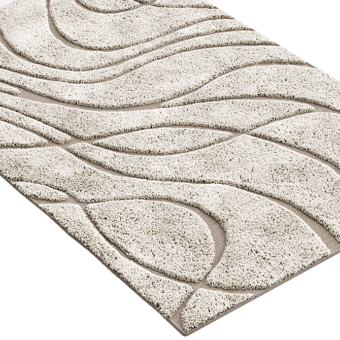 Luxurious Florida Shag Rug 3D model image 2