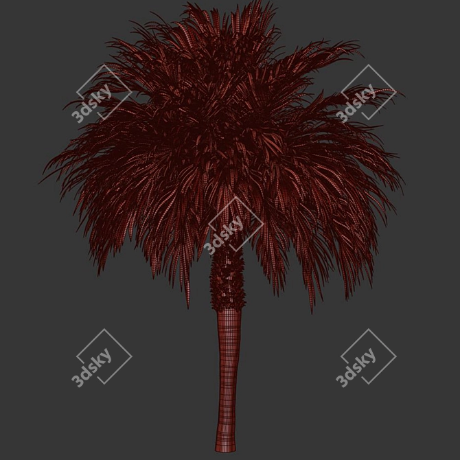 Tropical Palm Tree 3D Model 3D model image 3