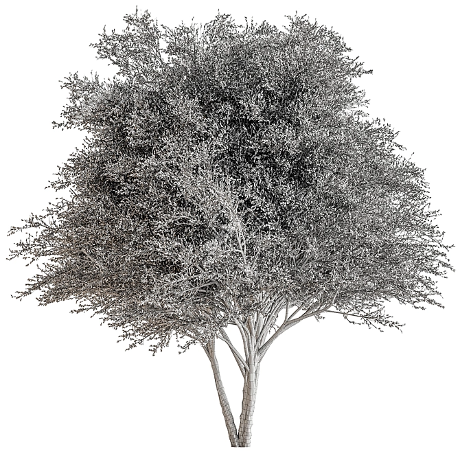 Fruity Fig Tree Mix 3D model image 3