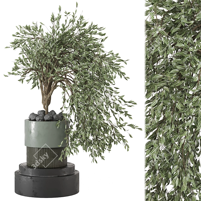  Botanical Paradise Collection 2015 3D model image 1