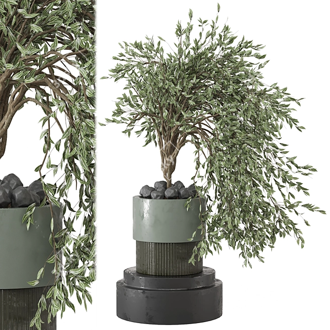  Botanical Paradise Collection 2015 3D model image 2