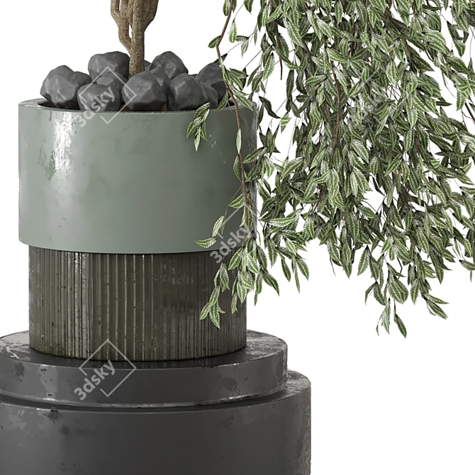  Botanical Paradise Collection 2015 3D model image 3