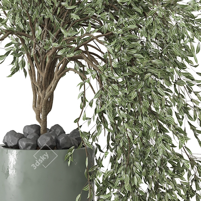  Botanical Paradise Collection 2015 3D model image 4