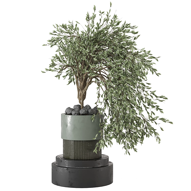  Botanical Paradise Collection 2015 3D model image 5
