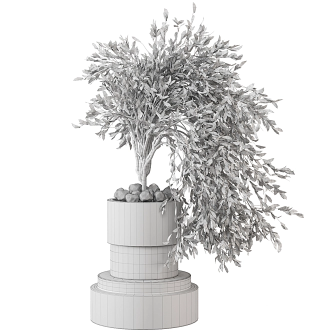  Botanical Paradise Collection 2015 3D model image 6