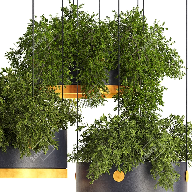 Premium Hanging Plants 3D Model 3D model image 3