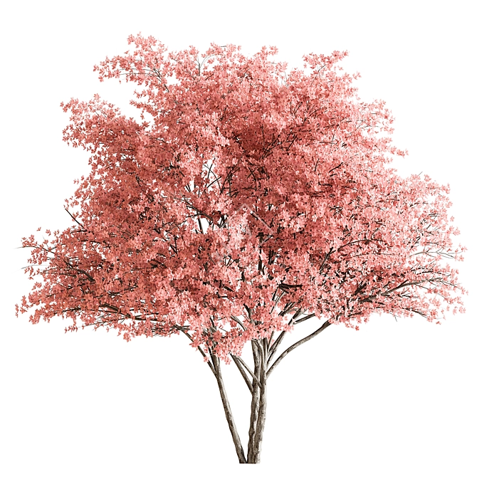 Cherry Plum Tree Set 290 3D model image 1