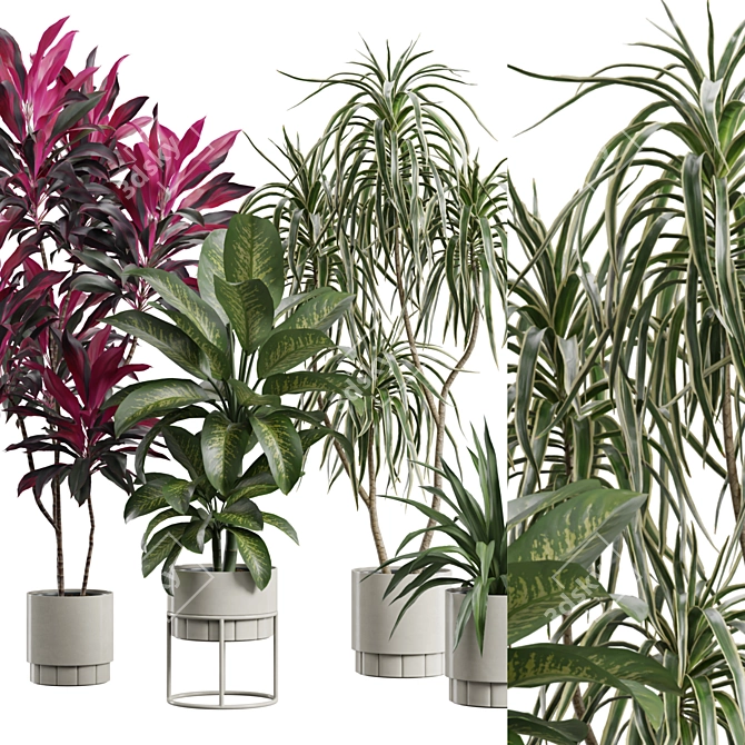 Indoor Plants Pack 62: 3D Models 3D model image 2