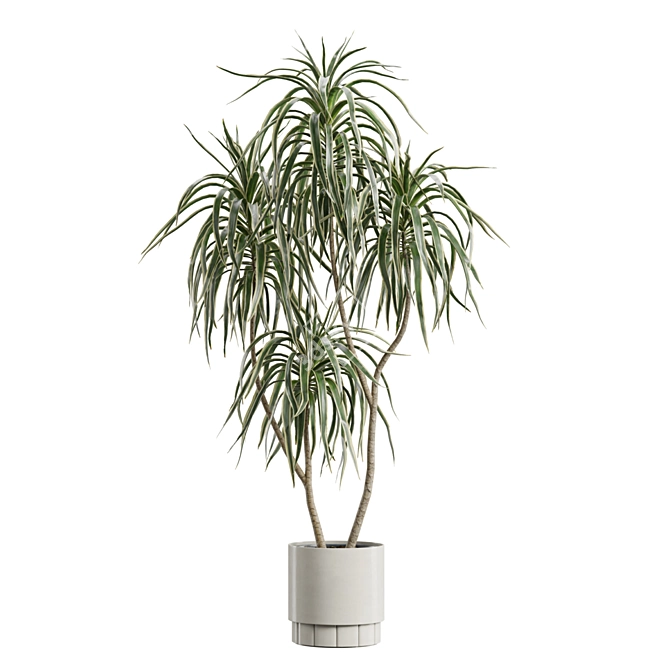 Indoor Plants Pack 62: 3D Models 3D model image 4