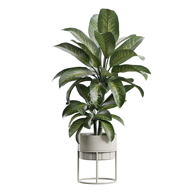 Indoor Plants Pack 62: 3D Models 3D model image 6