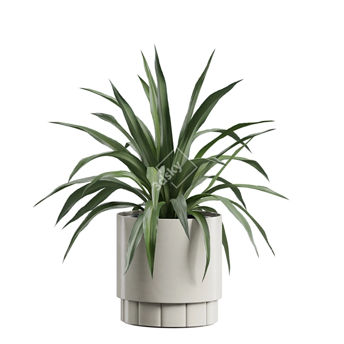 Indoor Plants Pack 62: 3D Models 3D model image 7