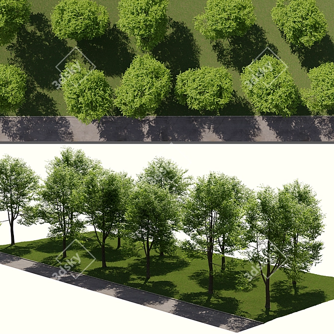 Urban Landscape Toolkit: Asphalt & Trees 3D model image 1