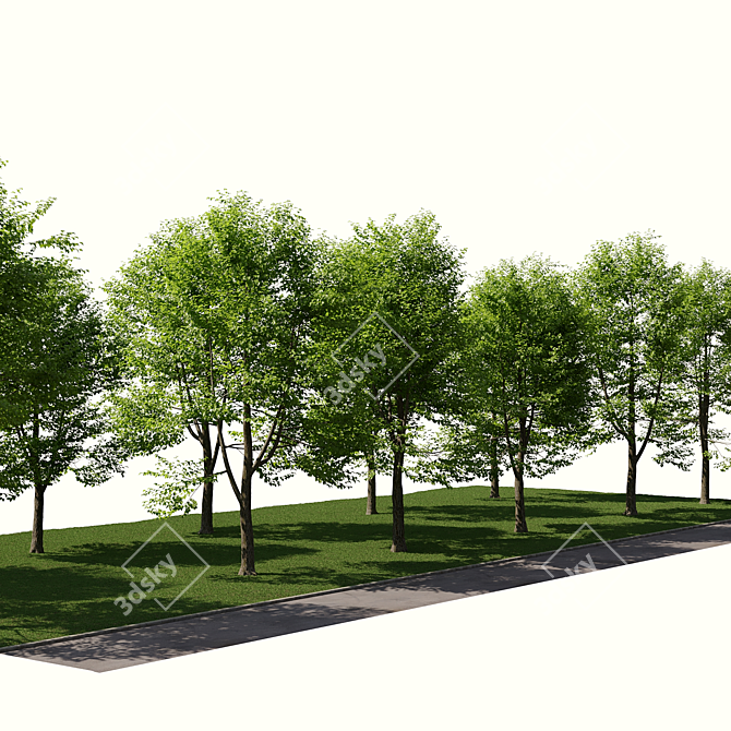 Urban Landscape Toolkit: Asphalt & Trees 3D model image 2