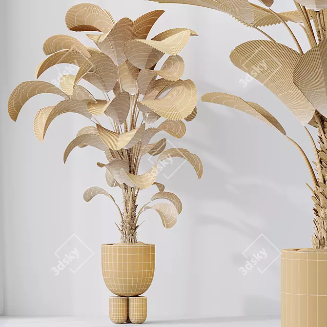 Exotic Licuala Grandis Palm Set 3D model image 5