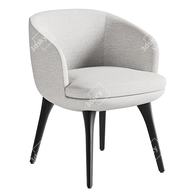 Elegant Minotti Raphael Dining Chair 3D model image 1