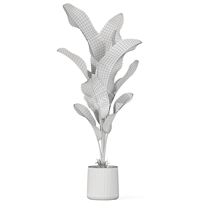  Botanical Bliss 3D Plants Pack 3D model image 3