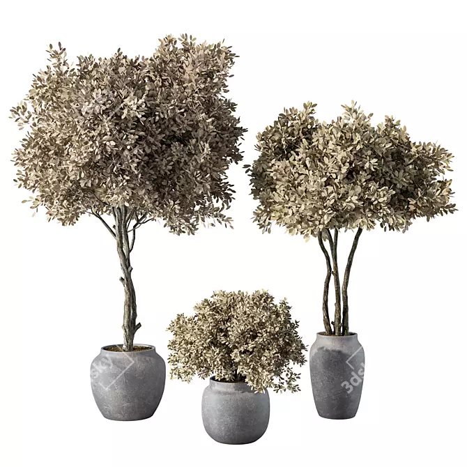Botanical Sanctuary Set 3D model image 1